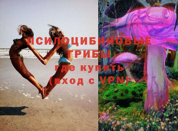 mdpv Красноперекопск