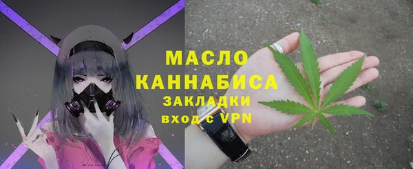сатива Кулебаки