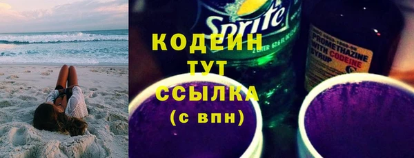 крисы Краснослободск