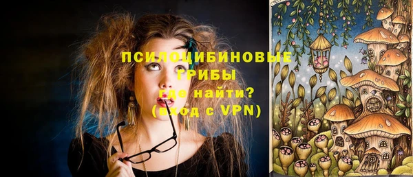крисы Краснослободск
