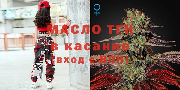 сатива Кулебаки