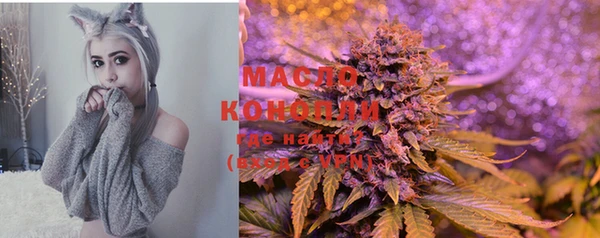 шишки Корсаков